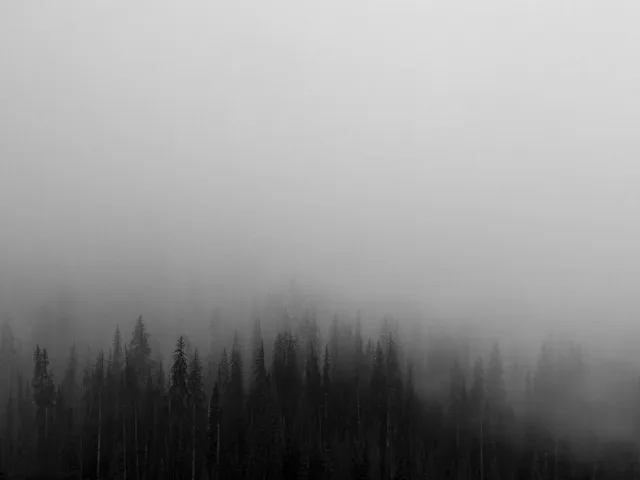 vlastni-projekty-922